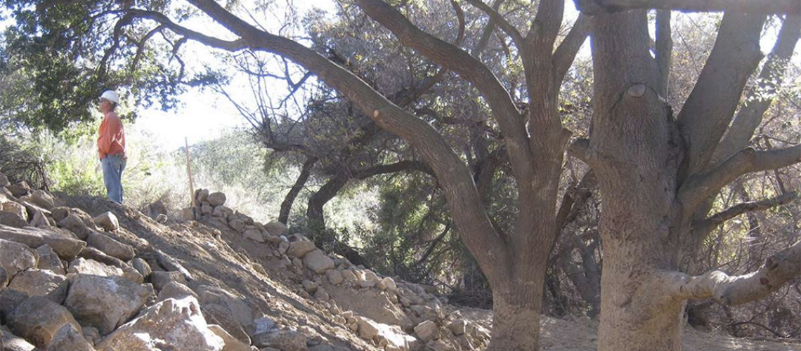 LA_Johnny_Southern_California_Construction_Arborist_Observation1