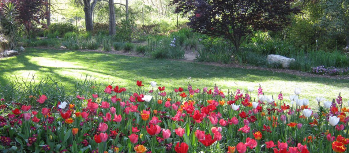 LA_Johnny_Southern_California_Heirloom-gardens-descanso-gardens1