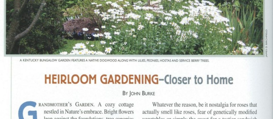 LA_Johnny_Southern_California_Heirloom_Plants3