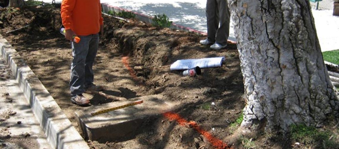 LA_Johnny_Southern_California_Saving_Trees_During_Development4